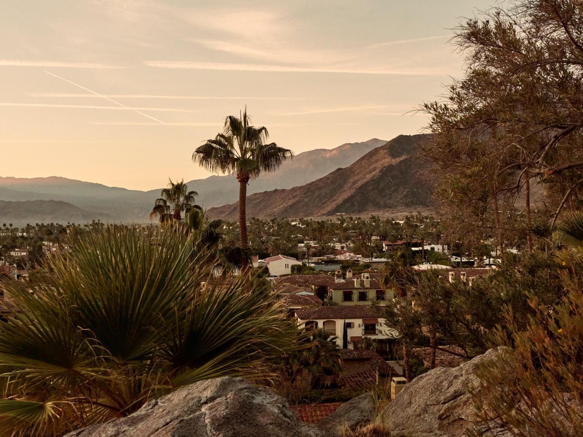 The Willows Palm Springs Dış mekan fotoğraf