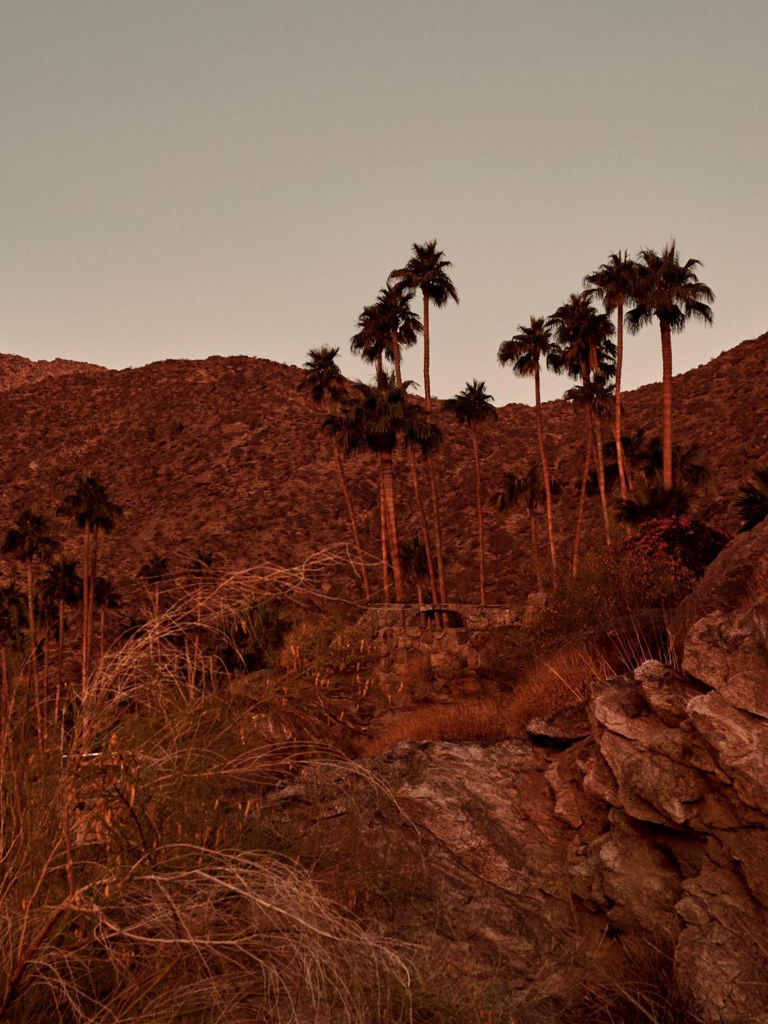 The Willows Palm Springs Dış mekan fotoğraf