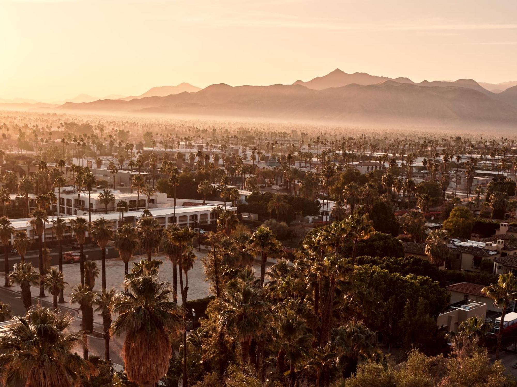 The Willows Palm Springs Dış mekan fotoğraf