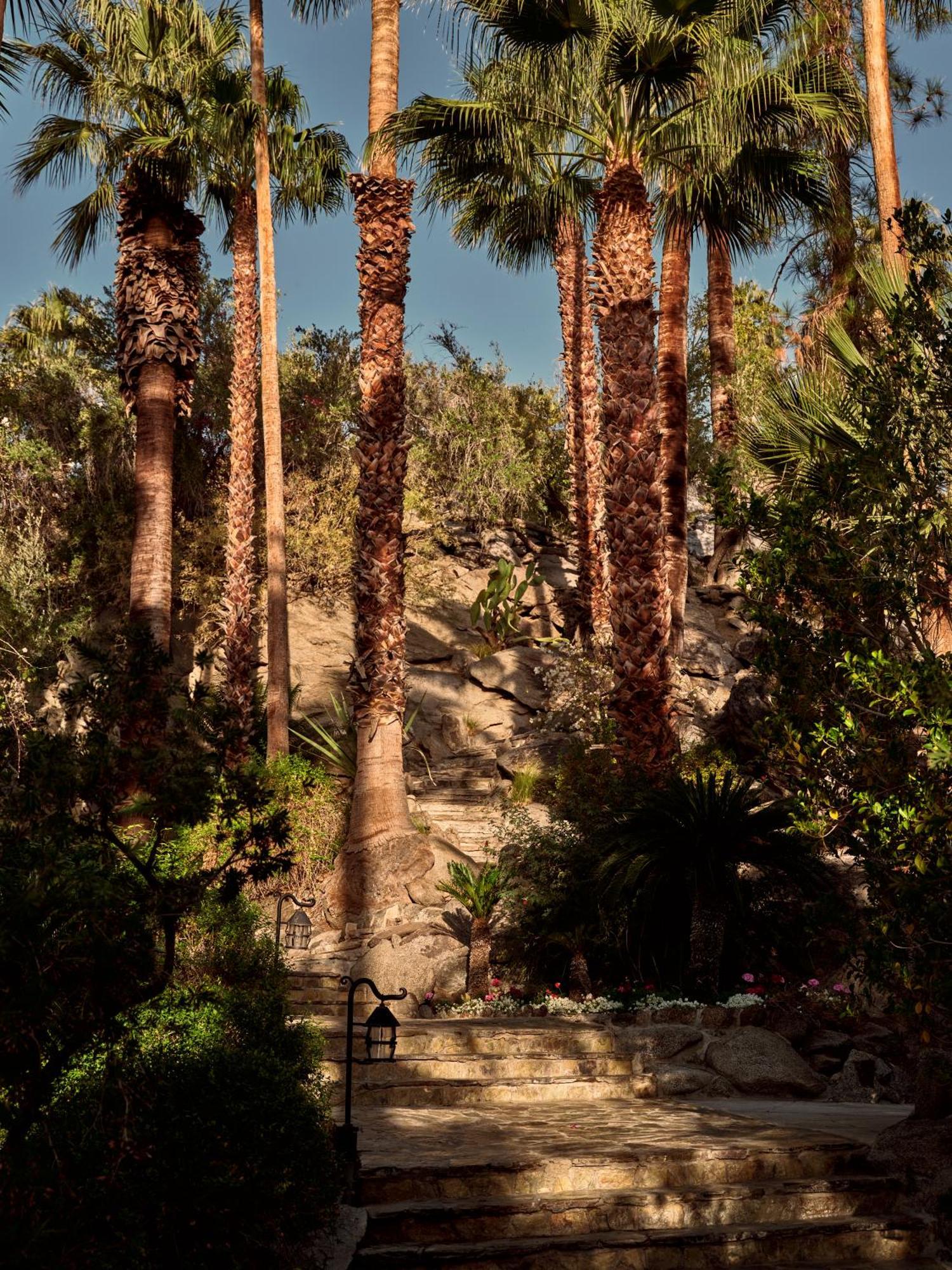 The Willows Palm Springs Dış mekan fotoğraf