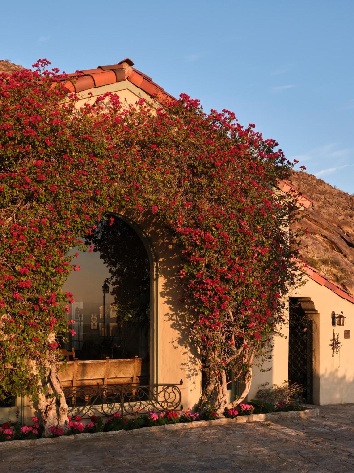 The Willows Palm Springs Dış mekan fotoğraf