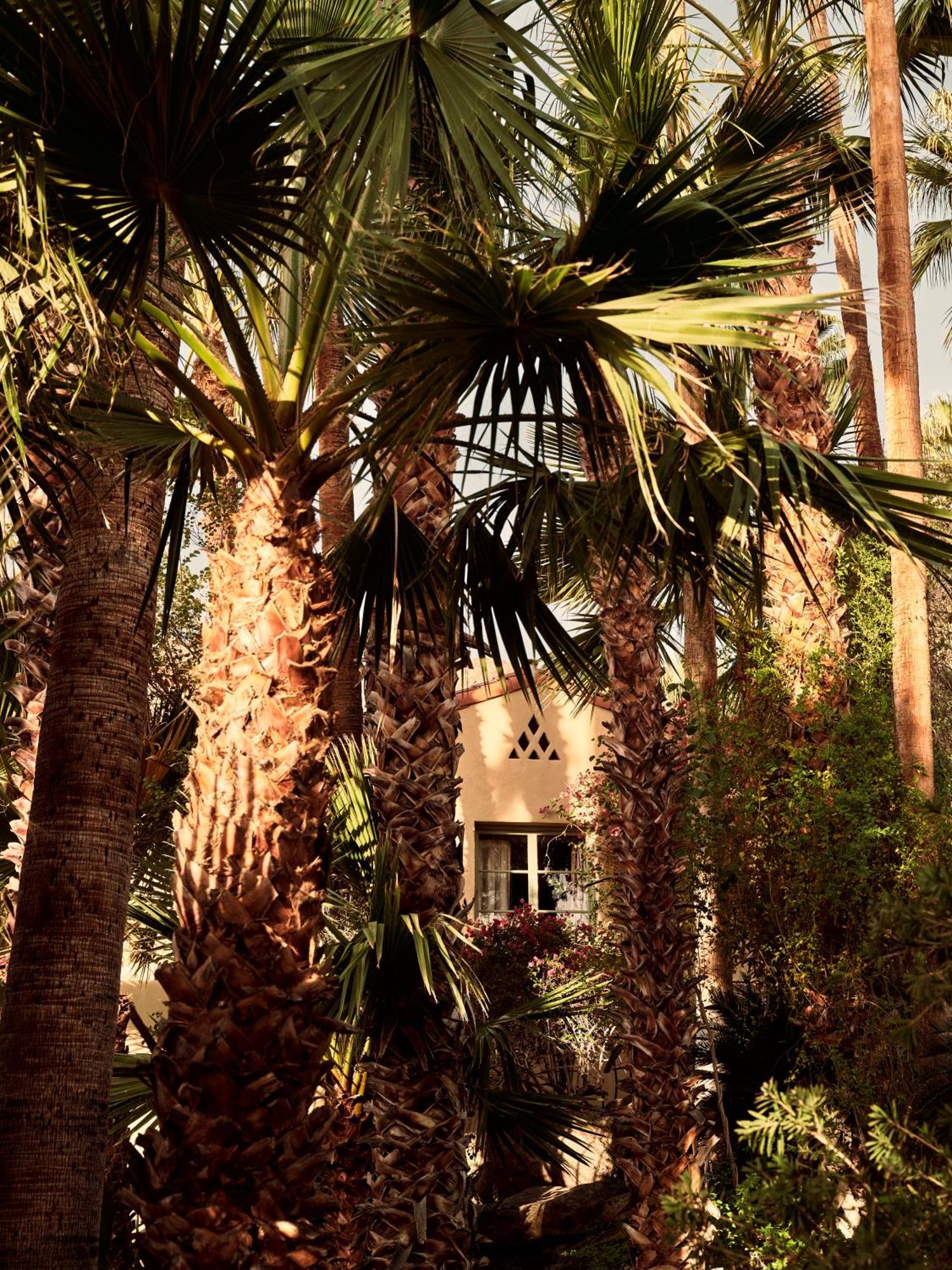 The Willows Palm Springs Dış mekan fotoğraf
