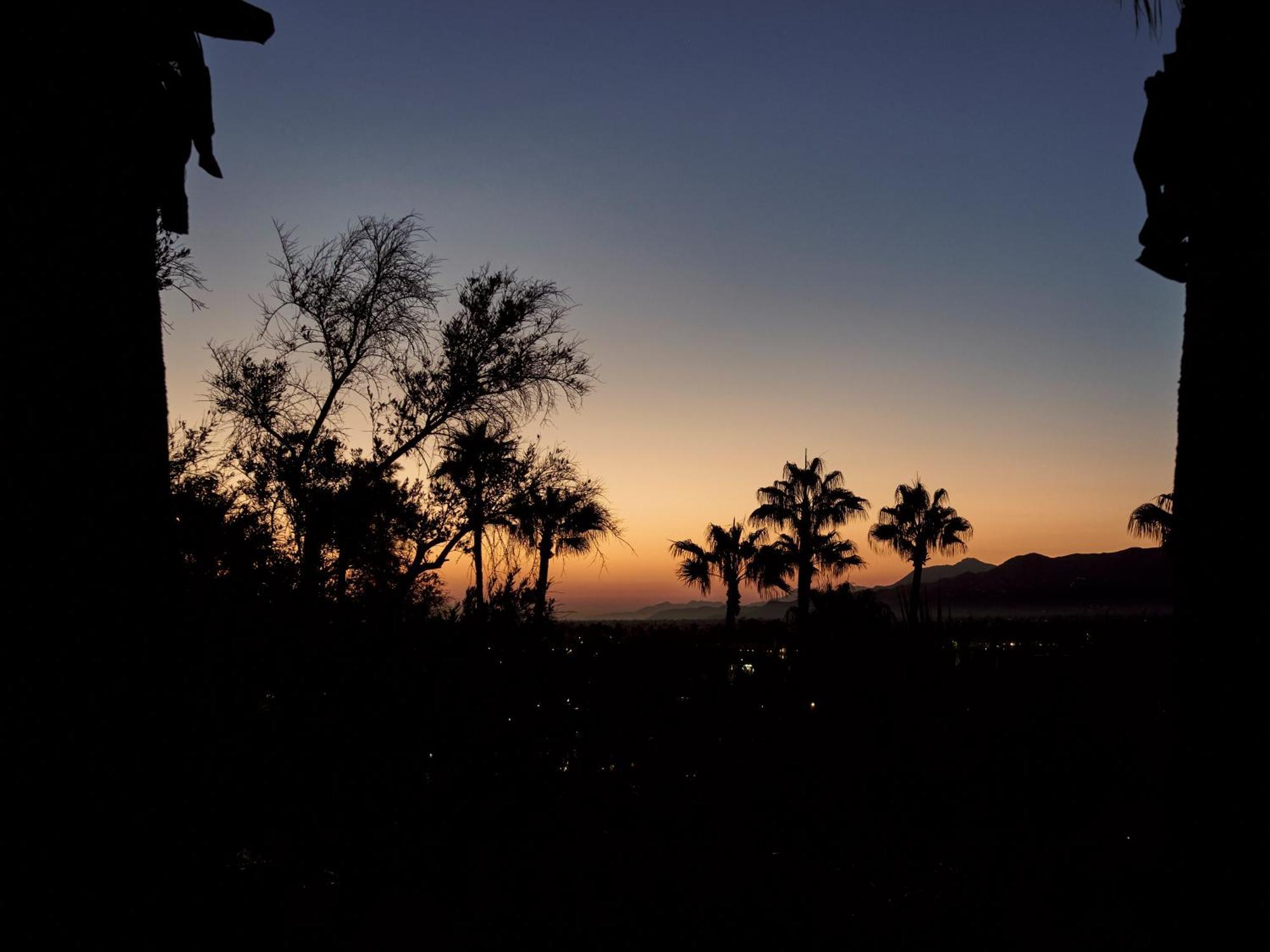The Willows Palm Springs Dış mekan fotoğraf