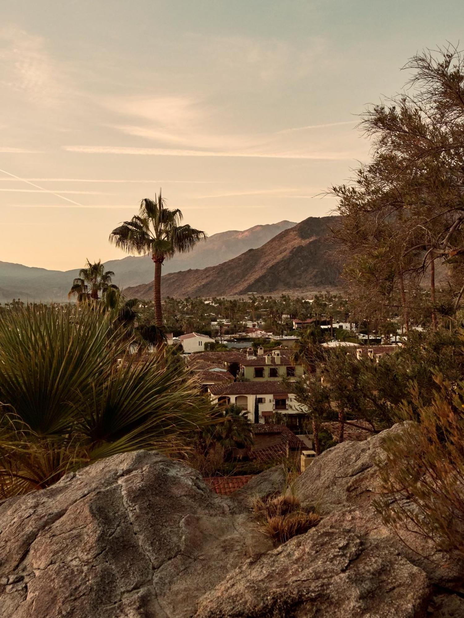 The Willows Palm Springs Dış mekan fotoğraf